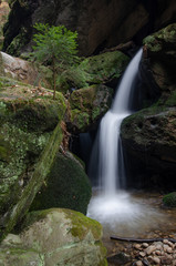 Fototapeta na wymiar Wasserfall am Grünbach in der Sächsischen Schweiz