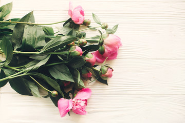 lovely pink peonies on rustic white wooden background, space for text. floral greeting card, flat lay. beautiful peony flowers, tender image. happy mothers or women day concept