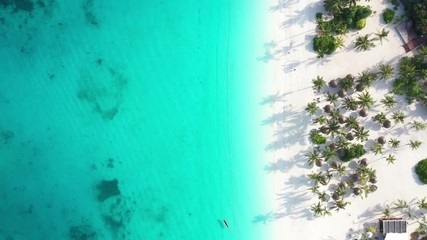video bird eyes view in Zanzibar beach
