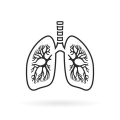 Human lungs anatomy line icon