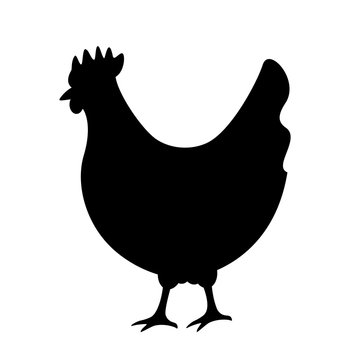 Chicken silhouette vector icon