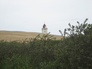 Wanderdünen im Norden Jütlands