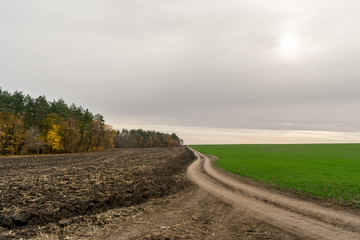  Dirt road among a plowed field on an overcast cloudy day