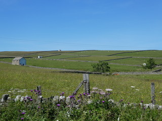 Teesdale