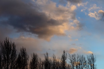 Abendstimmung, Wolkenbilder, Baumsilhouetten bei Sonnenuntergang