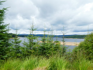 Kielder 2018