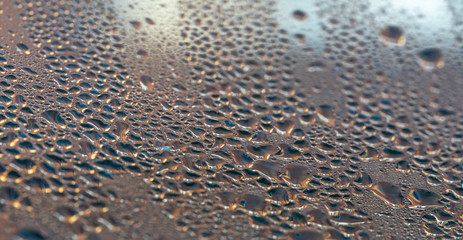 Kondenswasser an einer Fensterscheibe