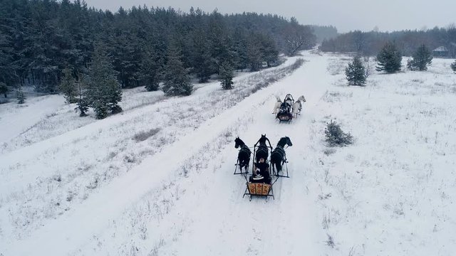 Aerial view of russian troika of three black and three white horses in harness pulling a sleigh in the winter forest. 4K