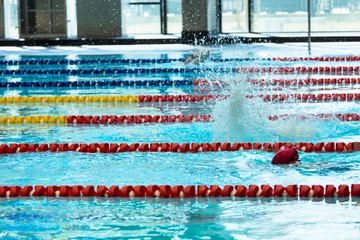 A young girl is swimming crawl in the indoor pool.