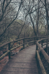 Obraz na płótnie Canvas Wood bridge in Cabañeros National Park, Ciudad Real, Spain.