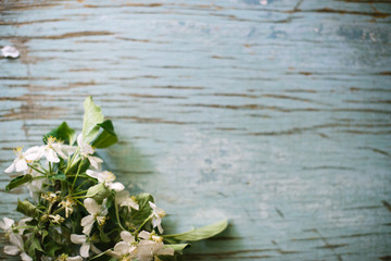 Flowering branch of an apple tree on a wooden background