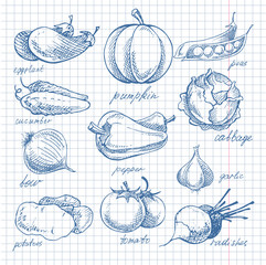 Vegetables doodle ink on notebook sheet in cell