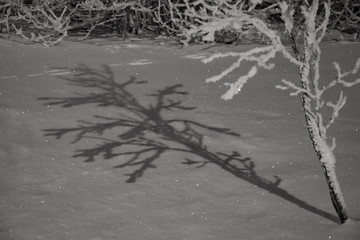 Winter landscapes in the far north in the polar night