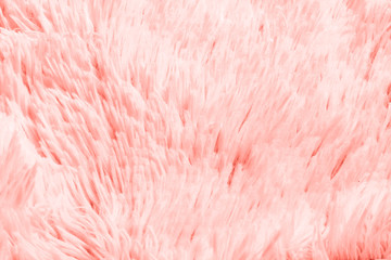Fur background toned in coral.