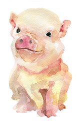 Watercolor sketch of pink pig isolated on white background