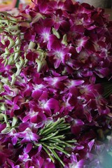 Fototapeta premium Blumenmarkt in Bangkok Thailand 