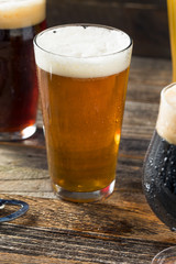 Refreshing Cold Craft Beer Assortment