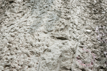 The rough surface of the grey rock.