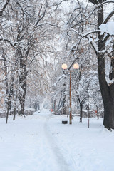 The snow-covered alley of the park and the lights glowing in the