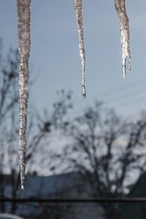 Obraz premium Icicles hang from roof eaves, melting. Danger of falling ice and