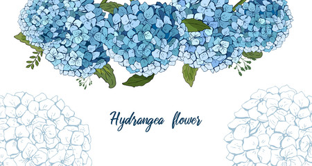 Summer botanical vector design banner. hand drawing . Light blue hydrangea. Natural card or frame. Floral borders. All elements are isolated and editable. template banner