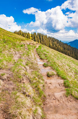Fototapeta premium Footpath - Oberjoch - Bavaria - Germany