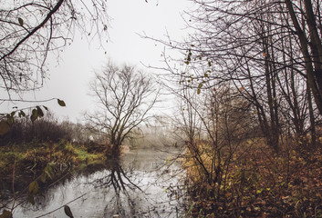 Kahle Bäume am Wasser im Herbst