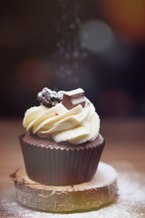 Chocolate, tasty and sweet cupcake with vanilla cream and condensed milk inside. Minimal food bakery concept.