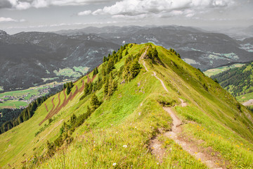 Fototapeta na wymiar Pathway - Valser Valley - Vorarlberg – Austria
