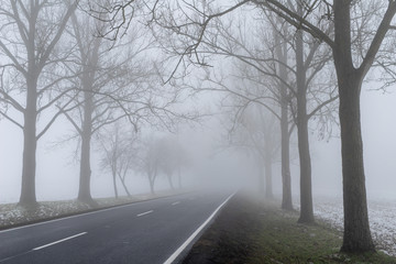 Asphalt road in the fog. A route connecting towns in central Europe.