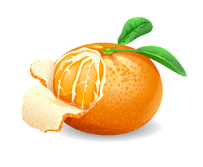 cartoon vector of a mandarin orange