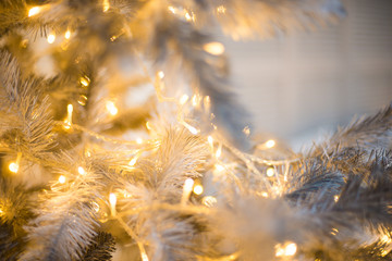Christmas tree closeup, light bulbs, blurred background