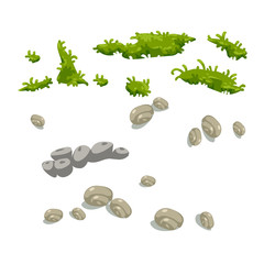 vector set of seaweed and seashells growths