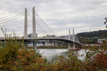 Tilikum crossing bridge. Portland, Oregon.