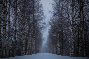 The Cold Road