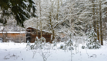 Winter in the village