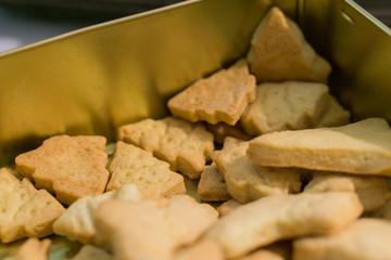 Closeup photo Christmas cookies in christmas tree shape. Tradition concept