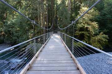 Fototapeta na wymiar Bridge in Forest