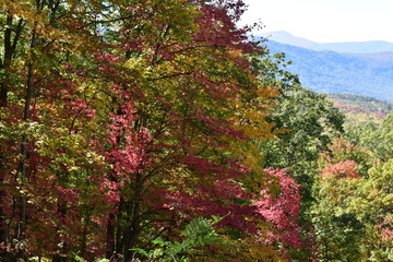 Smoky Mountains