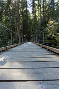 Bridge in Forest © Cody