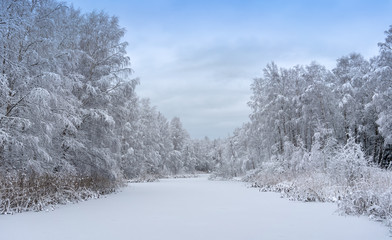 Winter landscape with an ice-covered pond and snow covered trees a cold december day just outside Stockholm, Sweden.