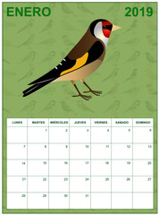 January 2019 calendar on spanish with an European goldfinch in the middle