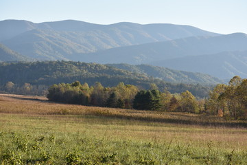 Fototapeta premium Smoky Mountains