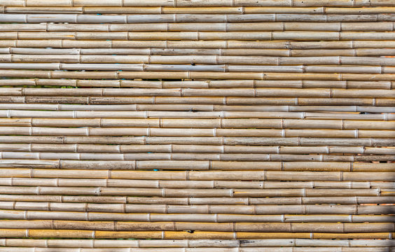Fundo com bambu