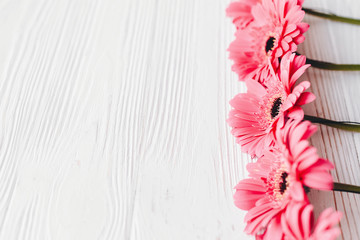 Pink gerbera on white wooden background,  space for text. Bright Floral greeting card mockup. Wedding invitation, happy mother day concept. Stylish border of pink flowers