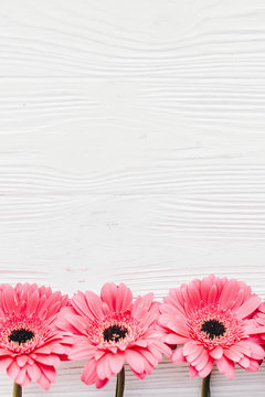 Pink gerbera on white  wooden background,  flat lay with space for text. Tender Floral greeting card mockup. Wedding invitation, happy mother day concept. Flowers border