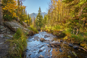 A Stream running through the Rocky Mountain National Park