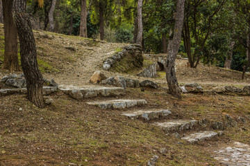 park outdoor season natural environment and stone stairway between trees path way space for promenade and walking