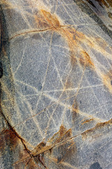 Leaf Stained Granite