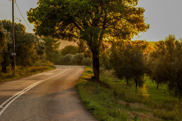 Fototapeta premium sunset soft focus country side car road in park outdoor village landmark environment space